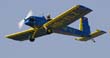 LFS_19