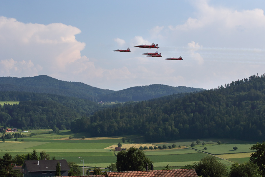FPElgg0614_01
